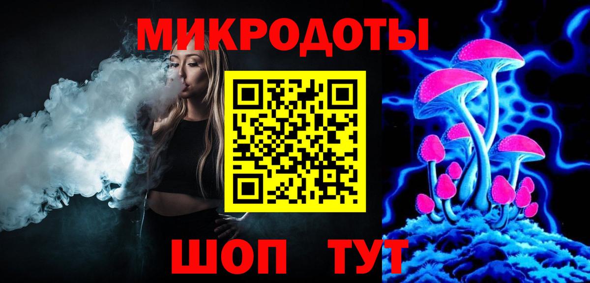 Псилоцибиновые грибы Psilocybe Димитровград