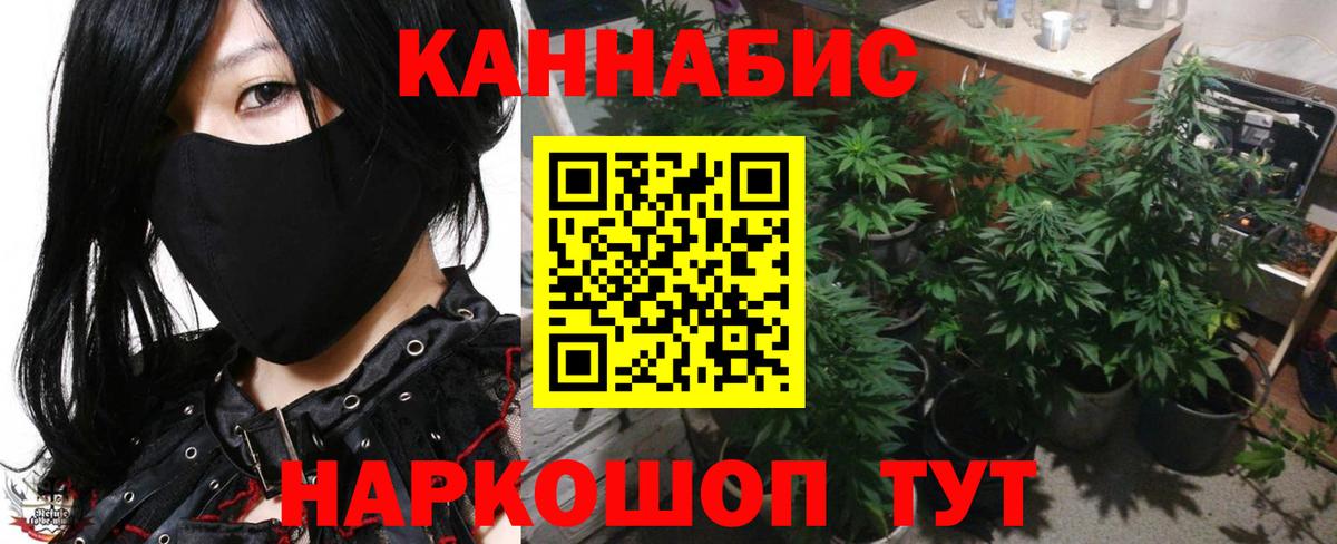 Димитровград  Шишки марихуана OG Kush  Бошки Шишки гибрид  Шишки марихуана Bruce Banner  Вход с VPN 